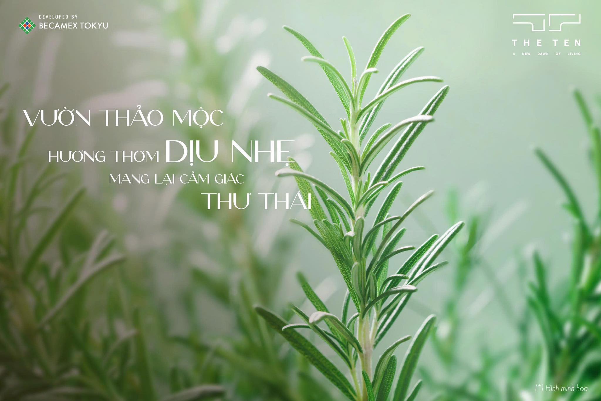 Vườn thảo mộc - hương thơm dịu nhẹ mang lại cảm giác thư thái tại The TEN 1 vuon thao moc