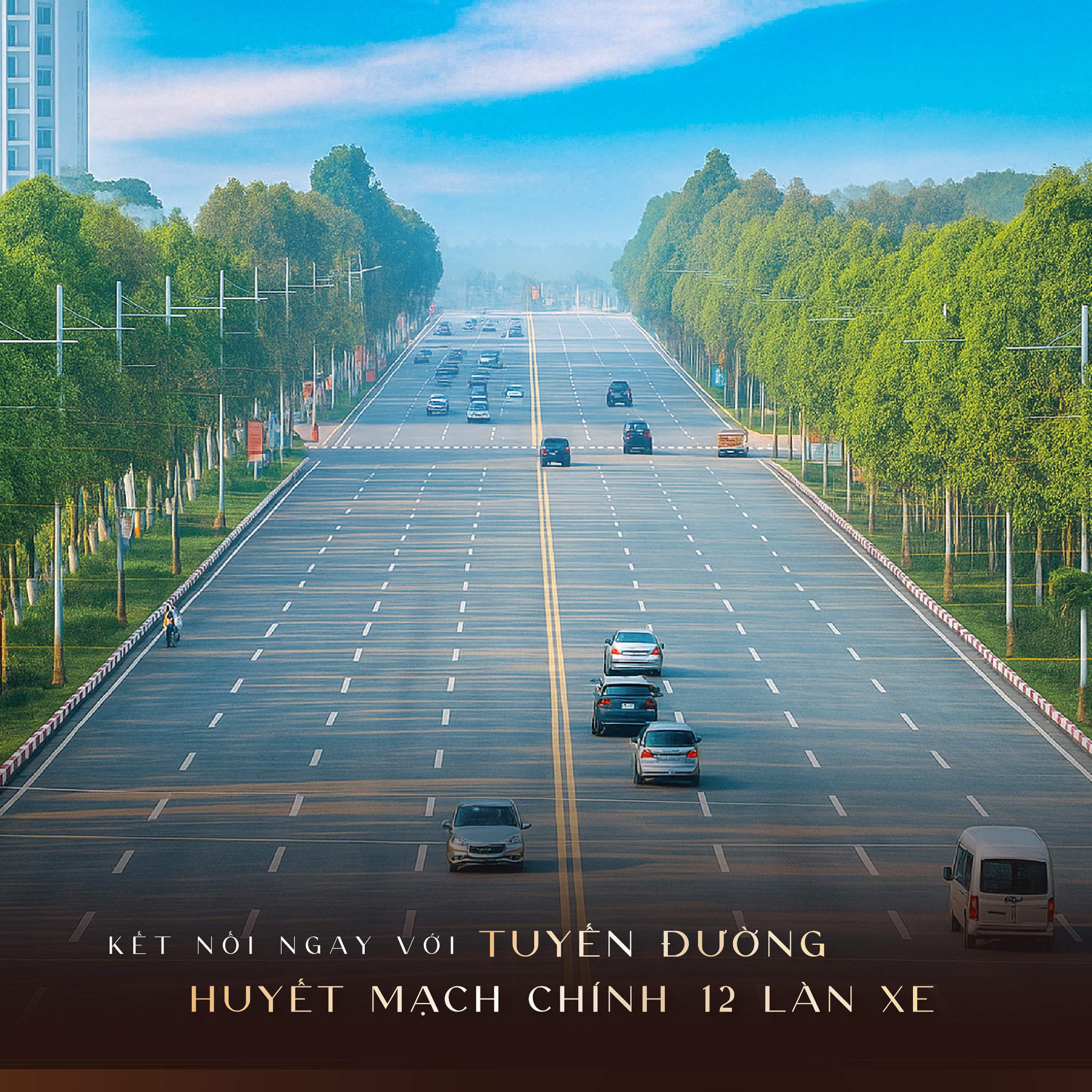 nhung cu hich ha tang 3