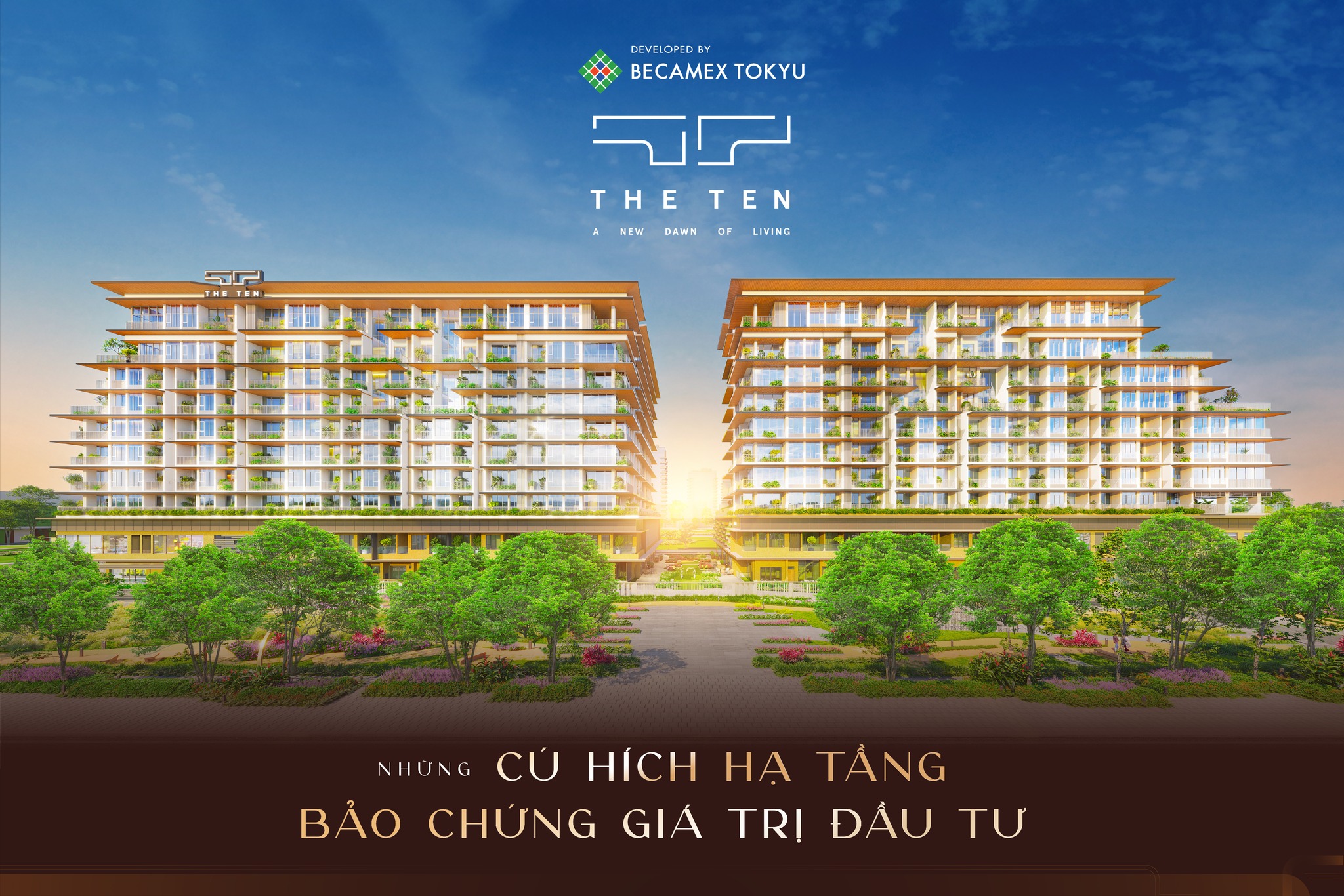 nhung cu hich ha tang